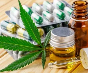 Industria de la medicina: análisis sobre el cannabis